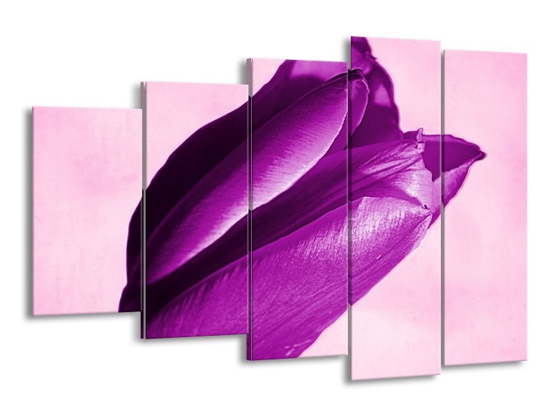 Canvas schilderij Tulp | Paars, Wit, Zwart | 150x100cm 5Luik