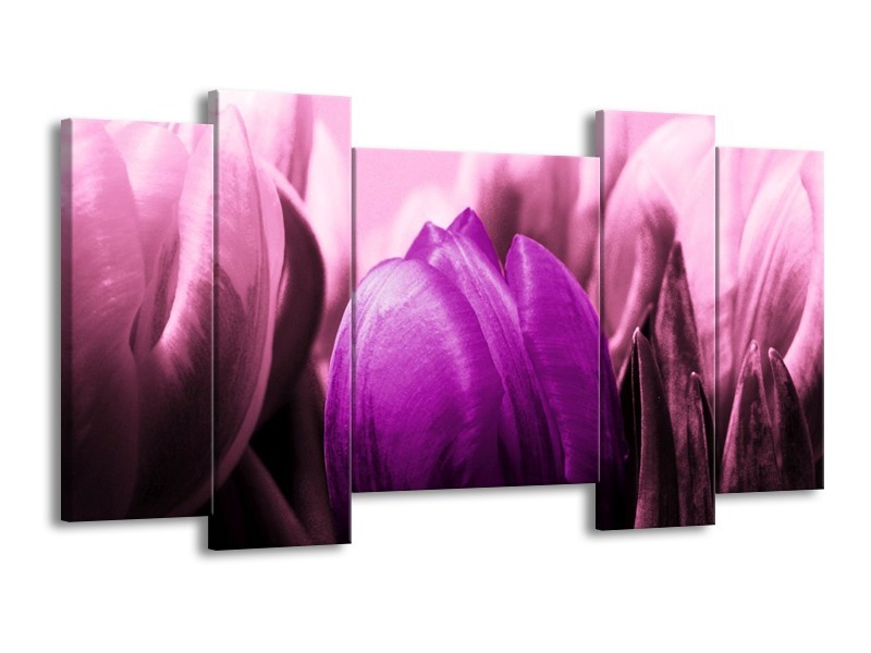 Canvas schilderij Tulp | Paars, Wit, Zwart | 120x65 5Luik