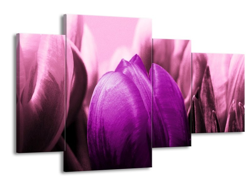 Canvas schilderij Tulp | Paars, Wit, Zwart | 120x75cm 4Luik