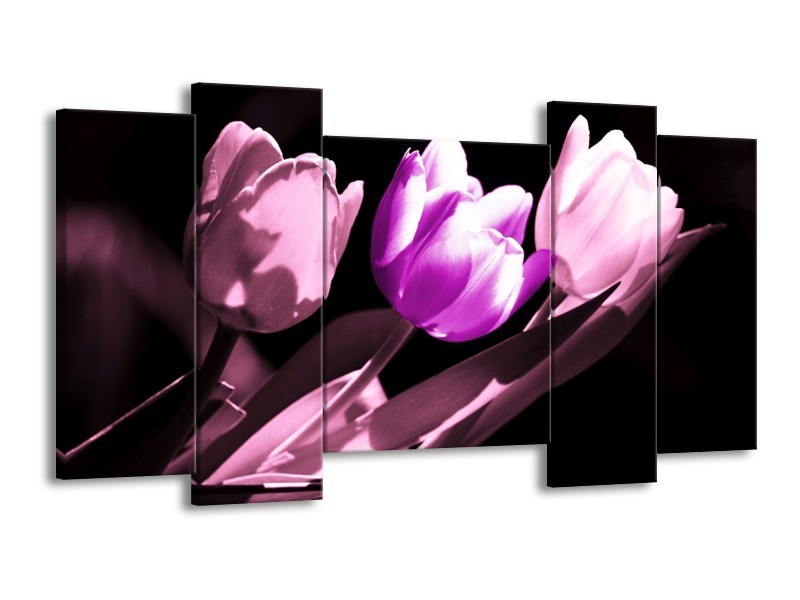 Canvas schilderij Tulp | Paars, Wit, Zwart | 120x65 5Luik