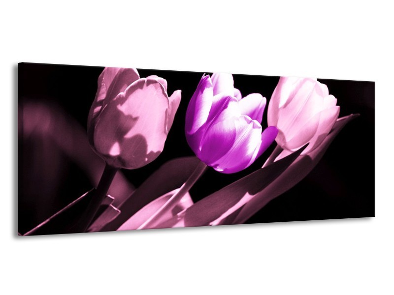 Canvas schilderij Tulp | Paars, Wit, Zwart | 145x58cm 1Luik