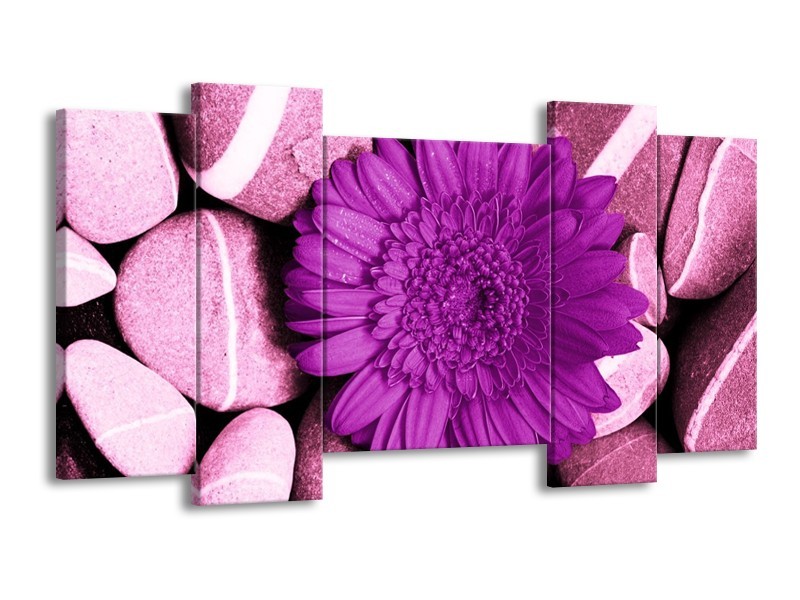 Canvas schilderij Bloem | Paars, Wit, Zwart | 120x65 5Luik