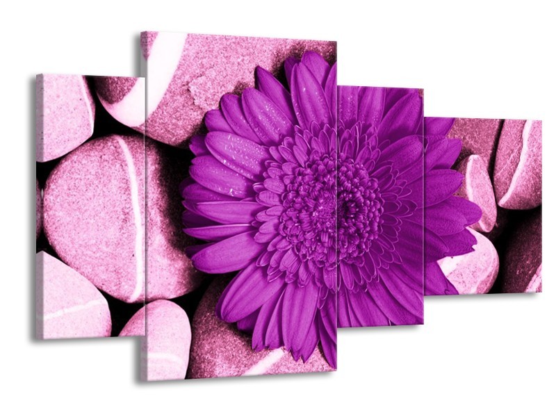 Canvas schilderij Bloem | Paars, Wit, Zwart | 120x75cm 4Luik