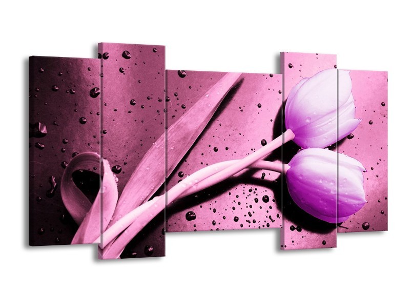 Canvas schilderij Tulp | Paars, Wit, Zwart | 120x65 5Luik