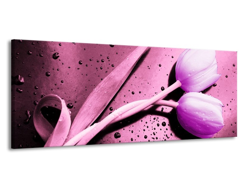Canvas schilderij Tulp | Paars, Wit, Zwart | 145x58cm 1Luik