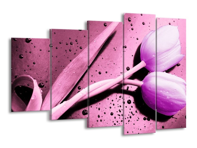 Canvas schilderij Tulp | Paars, Wit, Zwart | 150x100cm 5Luik