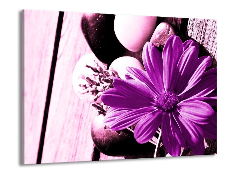 Canvas schilderij Bloem | Paars, Wit, Zwart | 100x70cm 1Luik