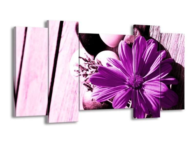 Canvas schilderij Bloem | Paars, Wit, Zwart | 120x65 5Luik
