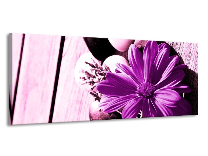 Canvas schilderij Bloem | Paars, Wit, Zwart | 145x58cm 1Luik
