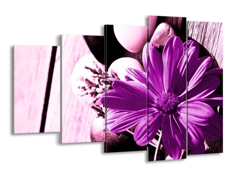 Canvas schilderij Bloem | Paars, Wit, Zwart | 150x100cm 5Luik