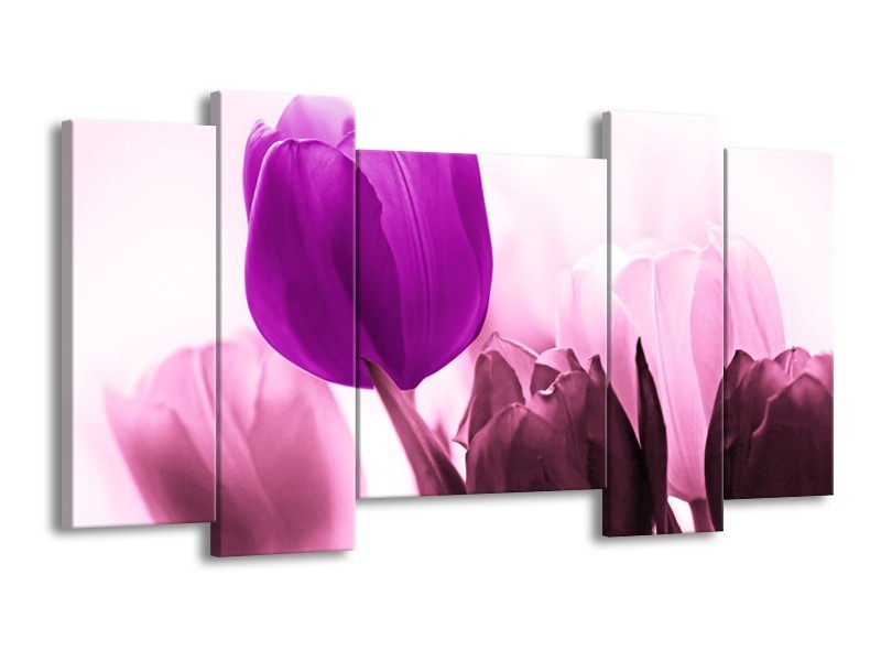 Canvas schilderij Tulp | Paars, Wit, Zwart | 120x65 5Luik