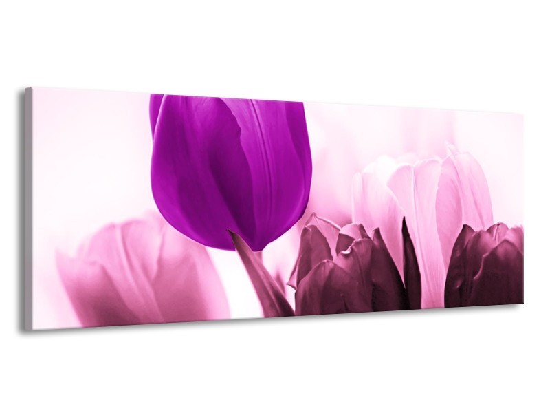 Canvas schilderij Tulp | Paars, Wit, Zwart | 145x58cm 1Luik