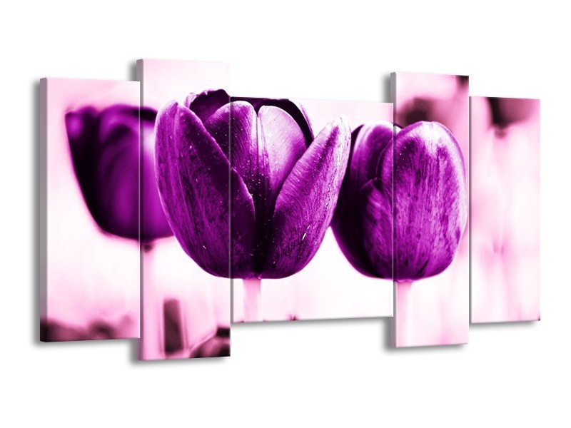Canvas schilderij Tulp | Paars, Wit, Zwart | 120x65 5Luik
