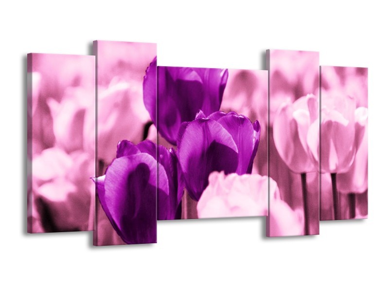 Canvas schilderij Tulp | Paars, Wit, Zwart | 120x65 5Luik
