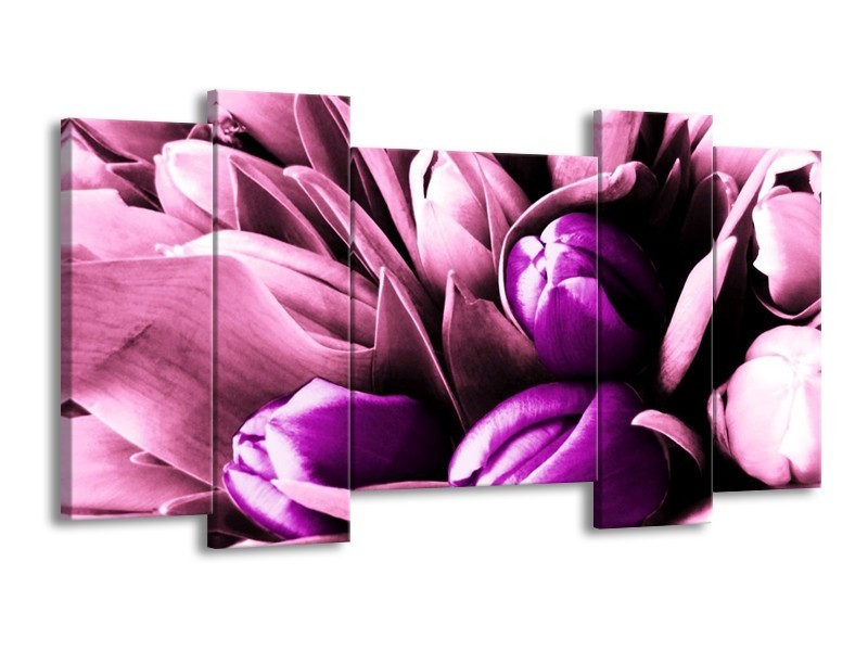 Canvas schilderij Tulp | Paars, Wit, Zwart | 120x65 5Luik