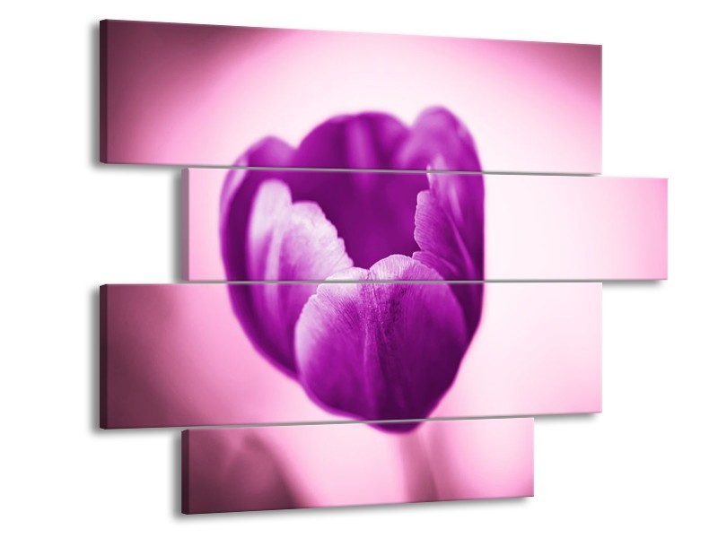 Canvas schilderij Tulp | Paars, Wit, Zwart | 115x85cm 4Luik