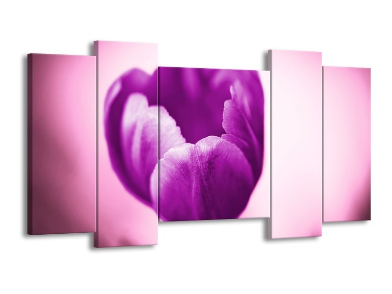 Canvas schilderij Tulp | Paars, Wit, Zwart | 120x65 5Luik