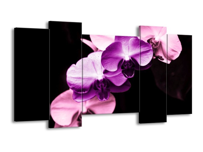 Canvas schilderij Orchidee | Paars, Wit, Zwart | 120x65 5Luik