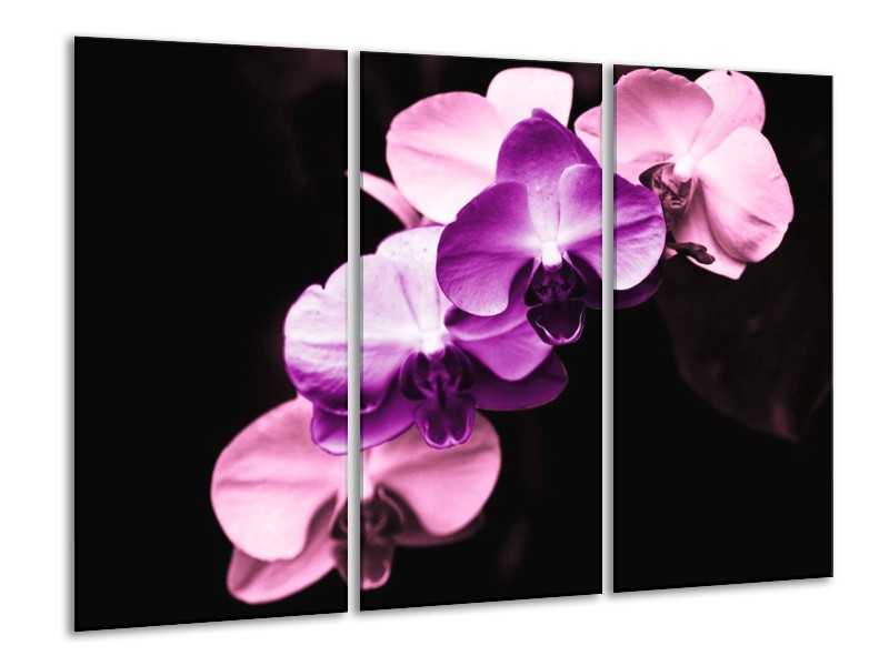 Canvas schilderij Orchidee | Paars, Wit, Zwart | 120x80cm 3Luik