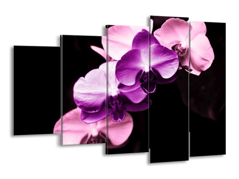 Canvas schilderij Orchidee | Paars, Wit, Zwart | 150x100cm 5Luik