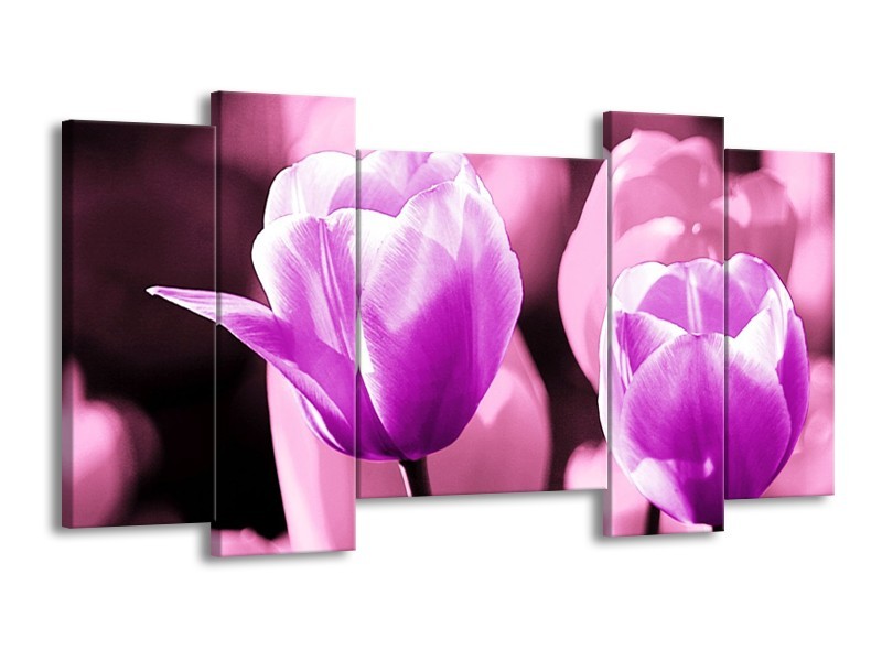 Canvas schilderij Tulp | Paars, Wit, Zwart | 120x65 5Luik