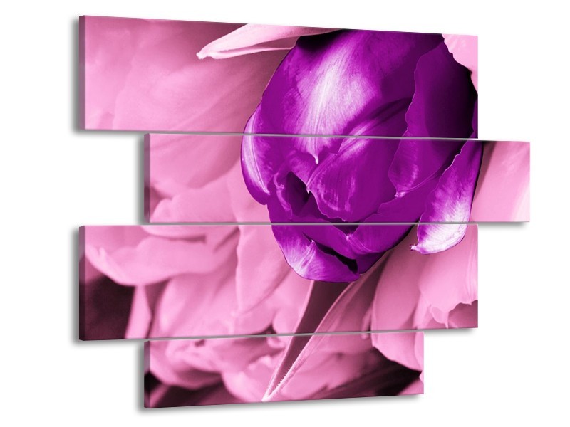 Canvas schilderij Tulp | Paars, Wit, Zwart | 115x85cm 4Luik