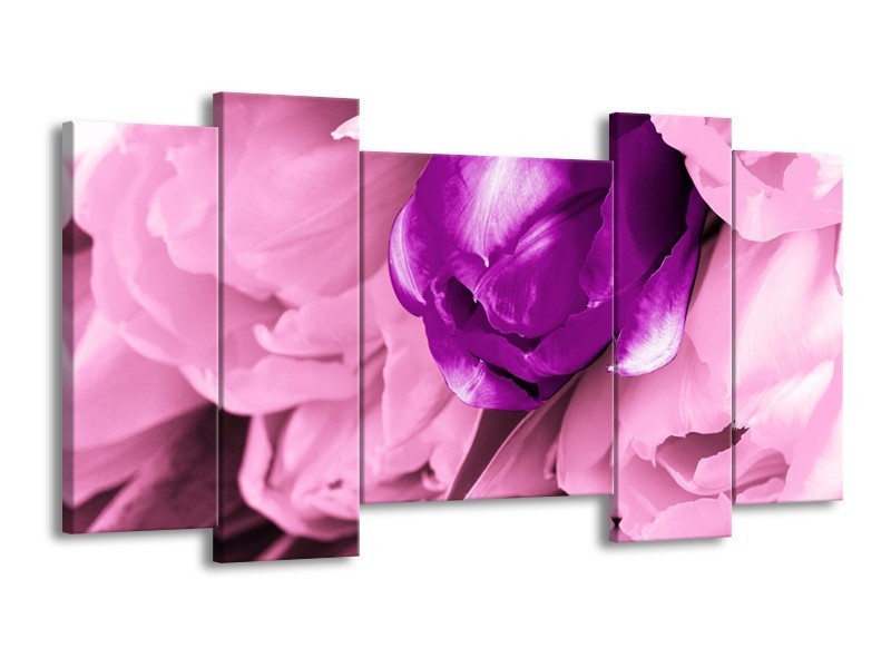 Canvas schilderij Tulp | Paars, Wit, Zwart | 120x65 5Luik