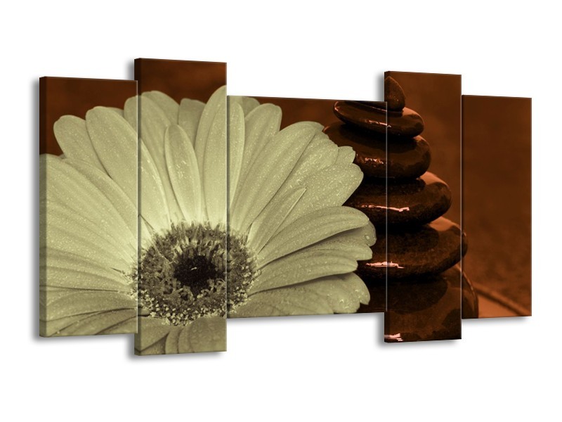 Canvas schilderij Bloem | Bruin, Grijs | 120x65 5Luik