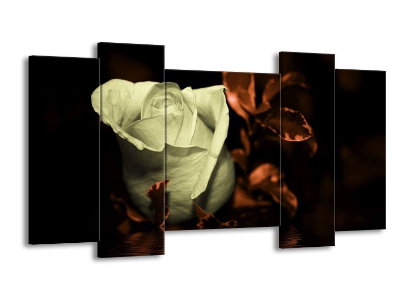 Canvas schilderij Roos | Bruin, Grijs | 120x65 5Luik