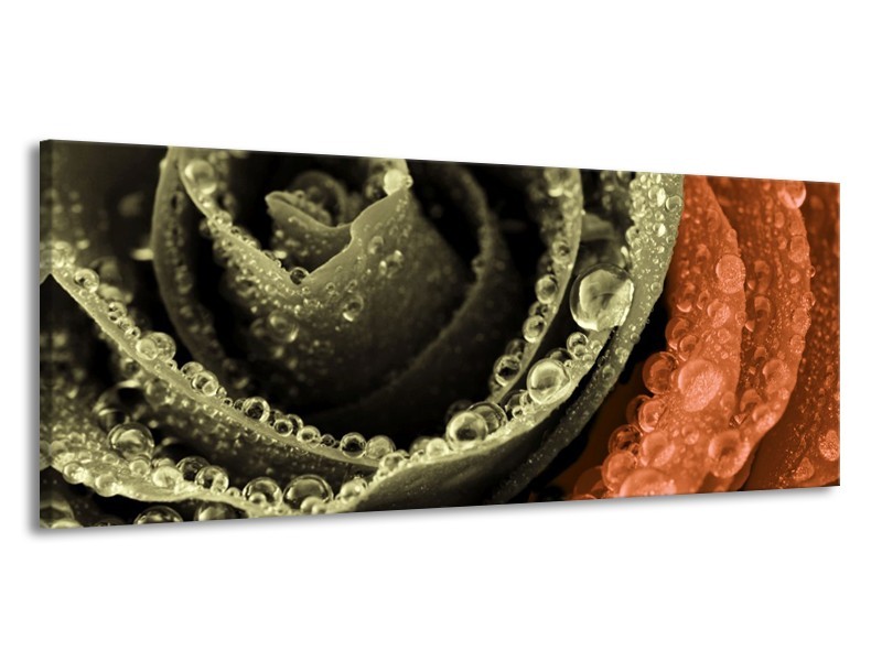 Canvas schilderij Roos | Bruin, Grijs | 145x58cm 1Luik