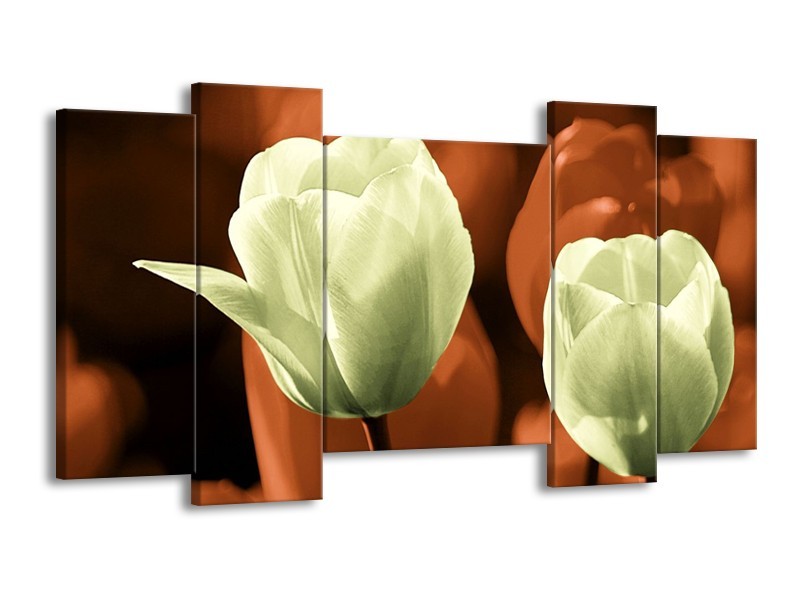 Canvas schilderij Tulp | Bruin, Grijs | 120x65 5Luik