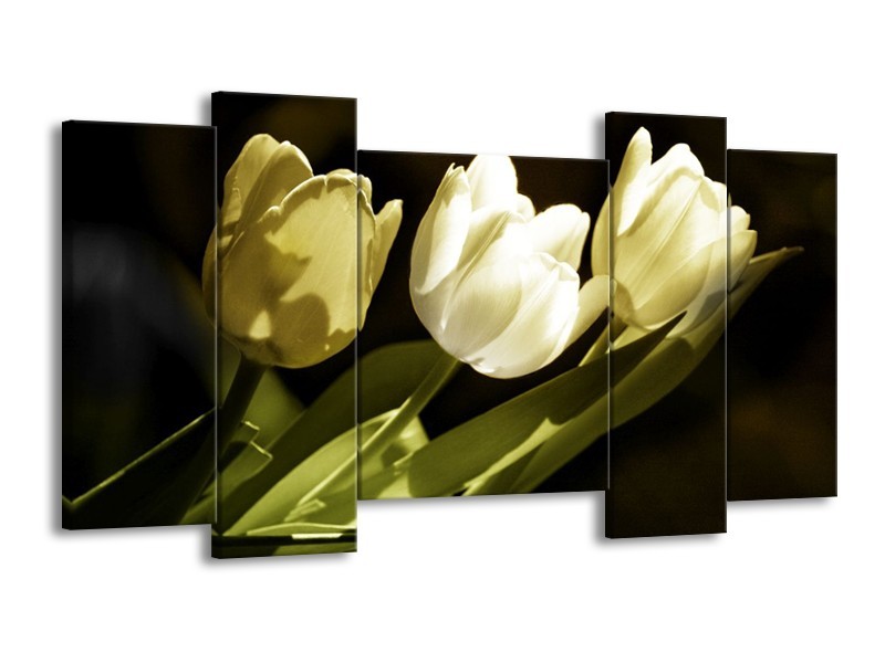 Canvas schilderij Tulp | Groen, Grijs | 120x65 5Luik