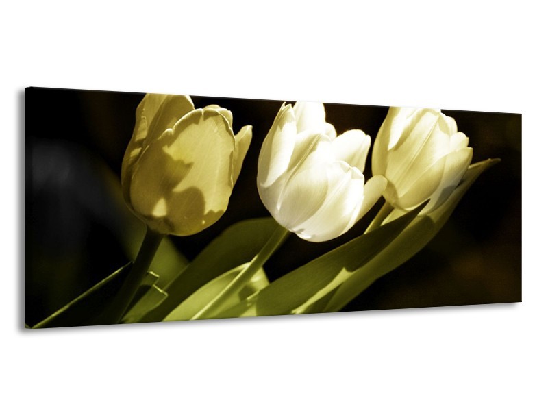 Canvas schilderij Tulp | Groen, Grijs | 145x58cm 1Luik