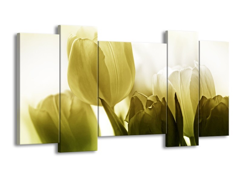 Canvas schilderij Tulp | Groen, Grijs | 120x65 5Luik
