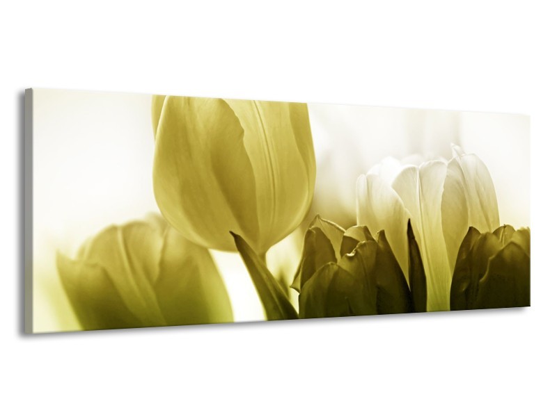 Canvas schilderij Tulp | Groen, Grijs | 145x58cm 1Luik