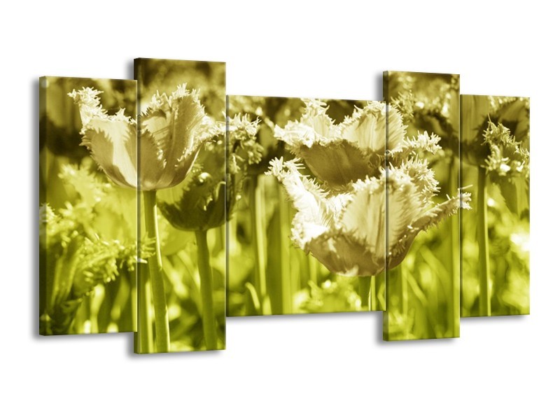 Canvas schilderij Tulp | Groen, Grijs | 120x65 5Luik