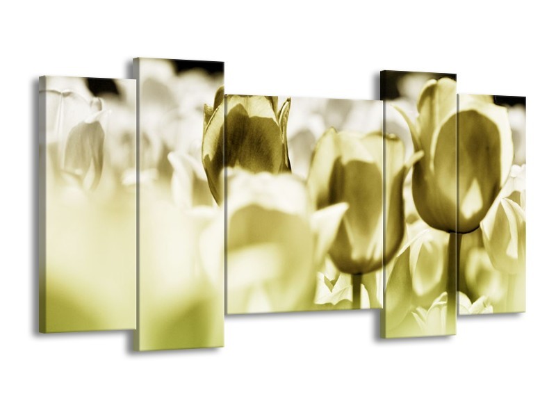 Canvas schilderij Tulp | Groen, Grijs | 120x65 5Luik