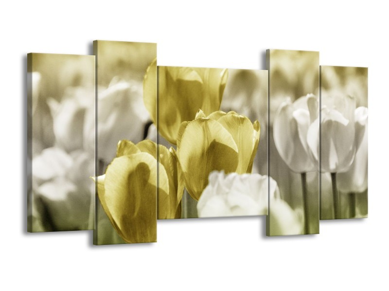Canvas schilderij Tulp | Groen, Grijs | 120x65 5Luik