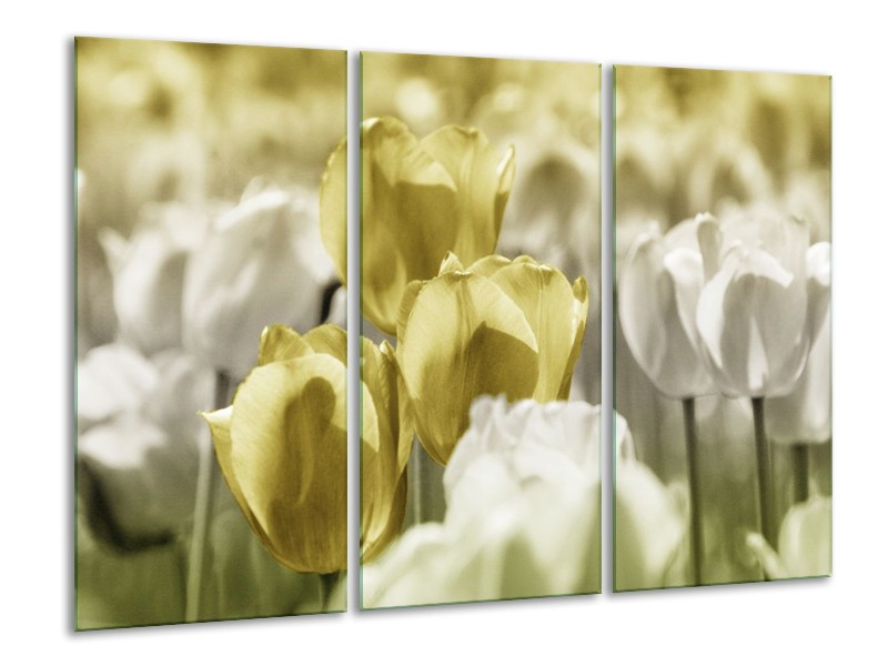 Canvas schilderij Tulp | Groen, Grijs | 120x80cm 3Luik