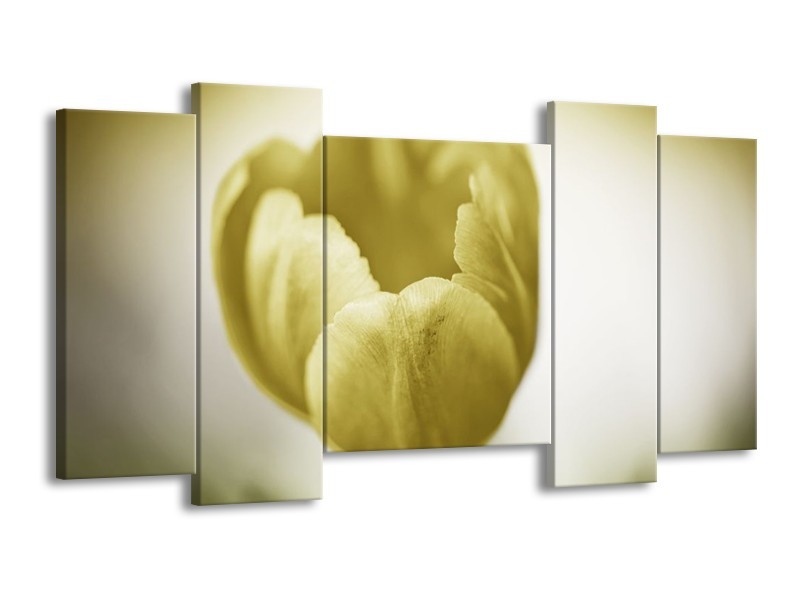 Canvas schilderij Tulp | Groen, Grijs | 120x65 5Luik