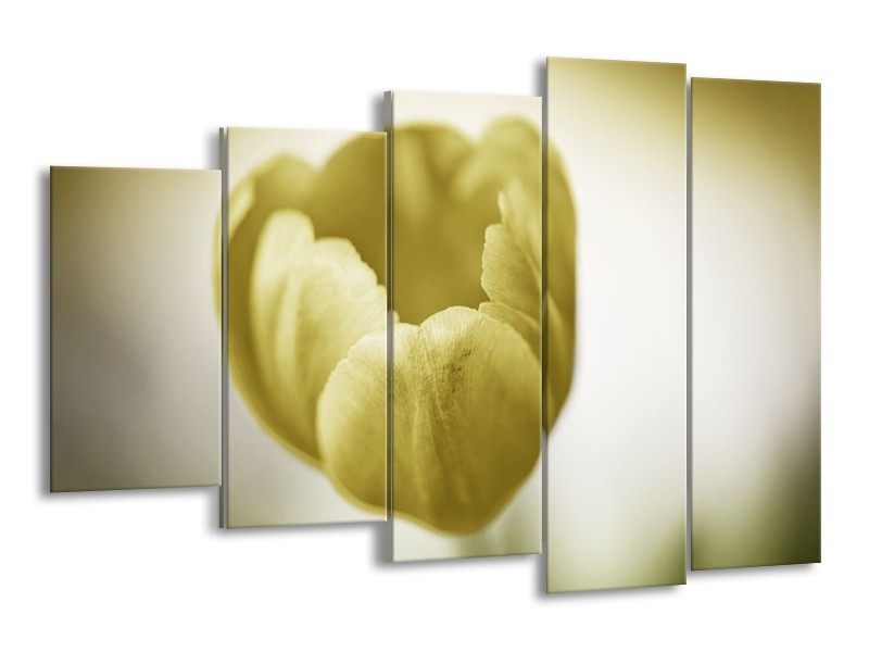 Canvas schilderij Tulp | Groen, Grijs | 150x100cm 5Luik
