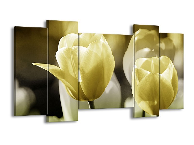 Canvas schilderij Tulp | Groen, Grijs | 120x65 5Luik
