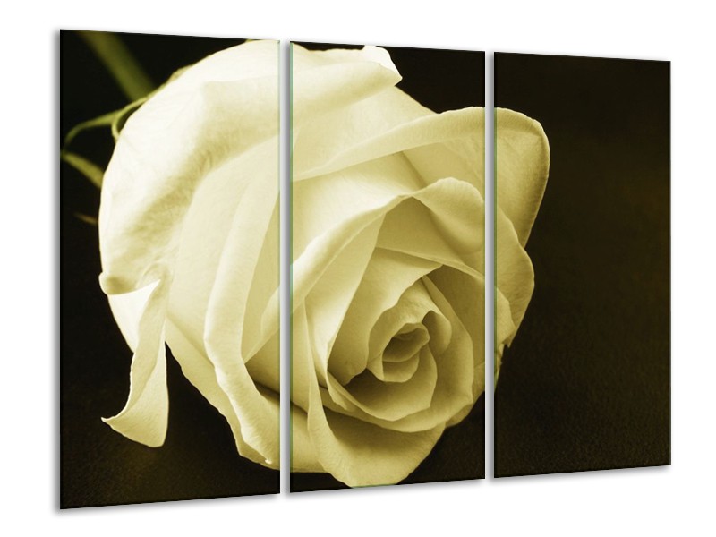 Canvas schilderij Roos | Groen, Grijs | 120x80cm 3Luik