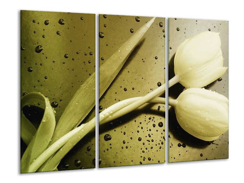 Canvas schilderij Tulp | Groen, Grijs | 120x80cm 3Luik
