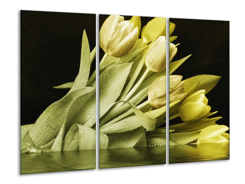 Canvas schilderij Tulp | Groen, Grijs | 120x80cm 3Luik