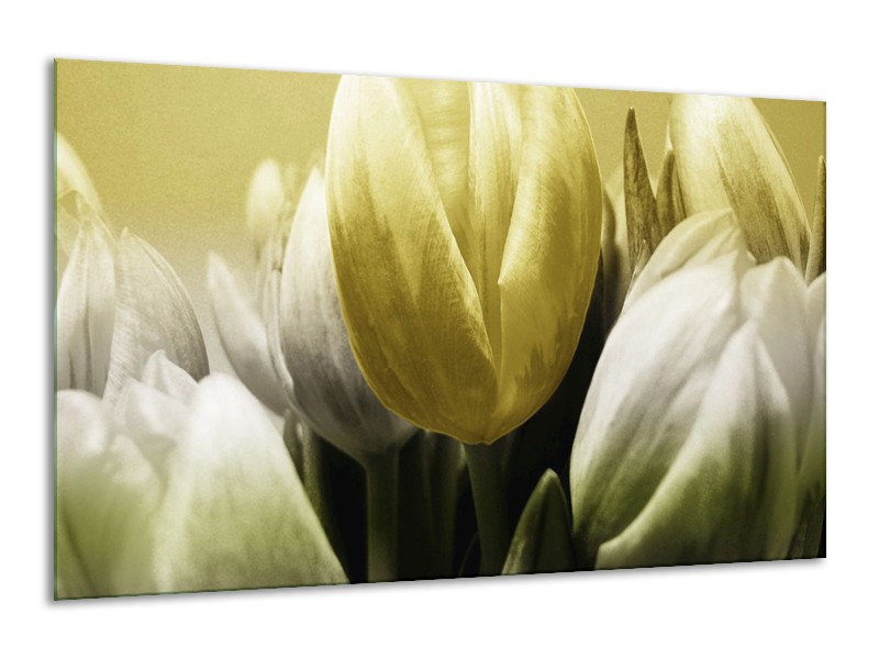 Canvas schilderij Tulp | Groen, Grijs | 120x70cm 1Luik