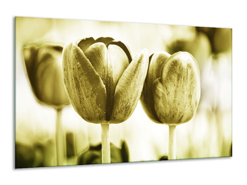 Canvas schilderij Tulp | Groen, Grijs | 120x70cm 1Luik