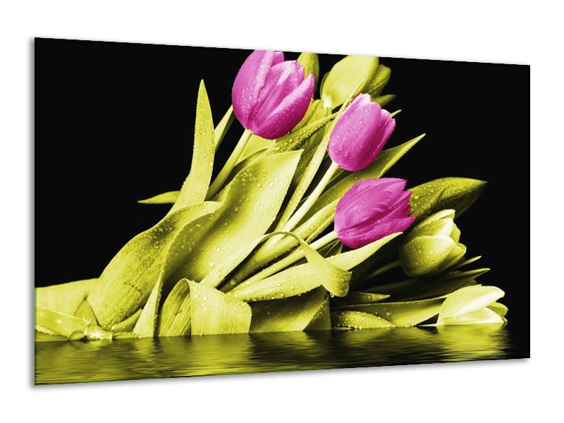 Canvas schilderij Tulp | Paars, Groen, Zwart | 120x70cm 1Luik