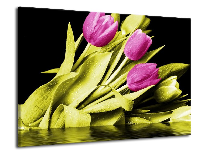 Canvas schilderij Tulp | Paars, Groen, Zwart | 70x50cm 1Luik