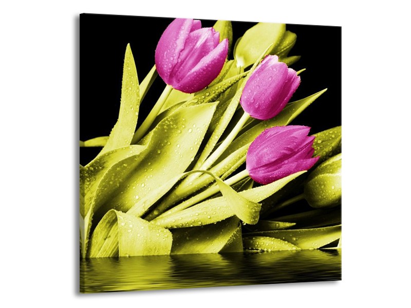 Canvas schilderij Tulp | Paars, Groen, Zwart | 70x70cm 1Luik